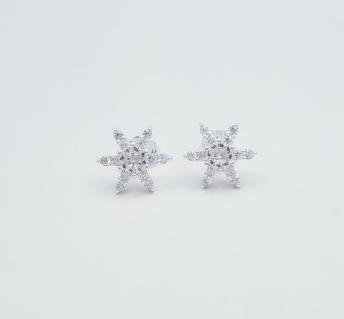 Arete Zirconia